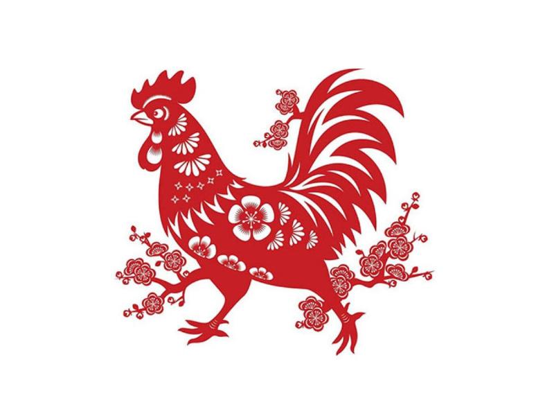 Một la bàn phong thủy hoặc biểu đồ Bát Quái, chia thành 8 hướng, đánh dấu rõ ràng các hướng tốt (Sinh Khí, Diên Niên, Thiên Y, Phục Vị) và xấu (Tuyệt Mệnh, Lục Sát, Ngũ Quỷ, Họa Hại) cho cả Nam và Nữ mạng sinh năm 2000